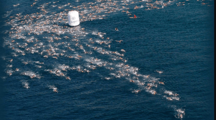 Rei e rainha do mar 10 super dicas simples pra uma prova espetacular