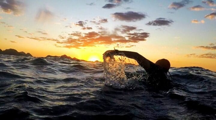 Os 4 pilares definitivos para natação em águas abertas